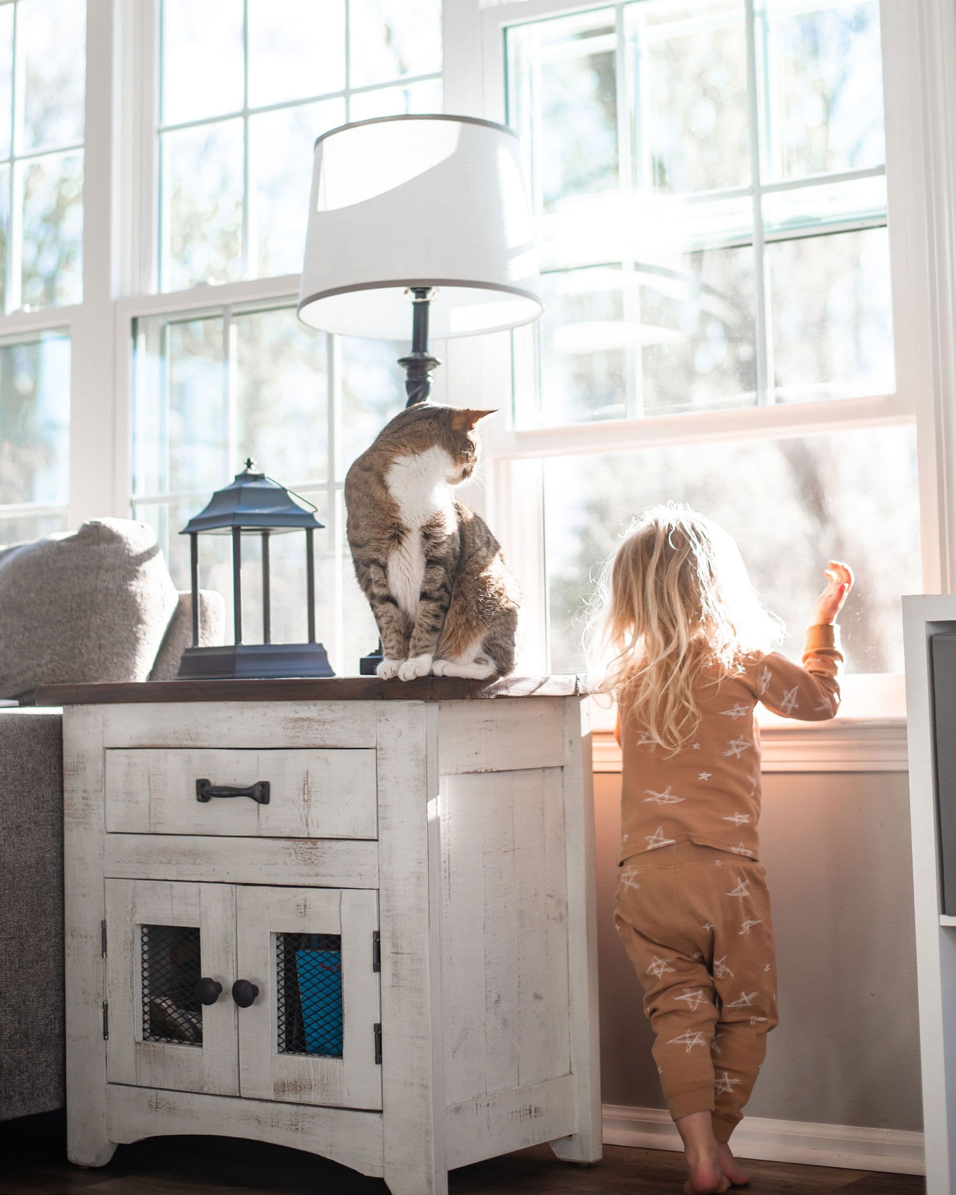 Child standing at window reaching toward tabby and white cat sitting on white cabinet with lamp and lantern decoration